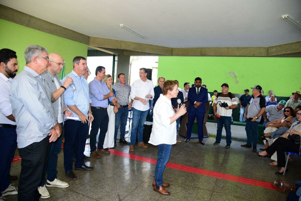 Imagem da Galeria